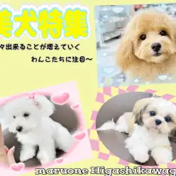 【 わんこ特集 】日々出来ることが増えていく！成長が楽しみなワンコたちをご紹介！