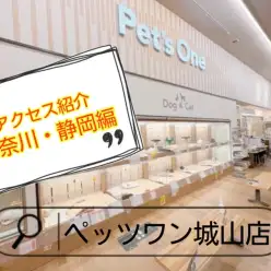 【 ペッツワン城山店 】アクセス紹介！神奈川・静岡編