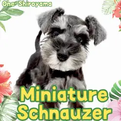 【 ミニチュアシュナウザー 】驚くほど温厚で落ち着きのある優秀な子なんです！