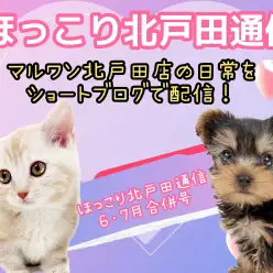 【 ほっこり北戸田通信集 6.7月号 】日々の日常をマルっとまとめました！