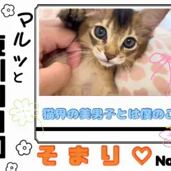 【 マルっと東川口日和No.55 】不思議な魅力を醸し出す激かわソマリちゃん！