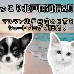 【 ほっこり北戸田通信集 8月号 】日々の日常をマルっとまとめました!