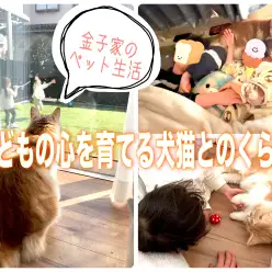 【 子育て家庭のペット生活 】子どもの心を育てる犬猫との暮らし！