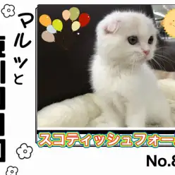 【 マルっと東川口日和No.81 】食欲・元気オールパーフェクトなスコちゃん!