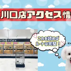 【 店舗紹介 】マルワン東川口店へのアクセスをわかりやすくご紹介します!