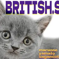 【 ブリティッシュショートヘア 】癒しと賢さを持ち合わせた理想のパートナー！