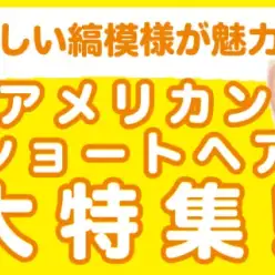 【 アメリカンショートヘア特集 】9/4現在在店中のアメショ特集！最新動画は必見