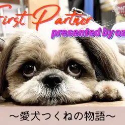 【 ファーストパートナー 】マルワン相模大塚店スタッフ尾崎の愛犬物語!