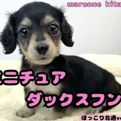 【 ほっこり北通vol215 】北戸田店イチの穏やかフレンドリーgirlが入店!