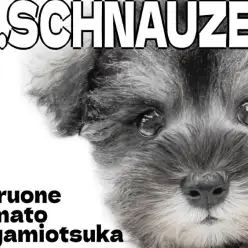 【 ミニチュアシュナウザー 】抜け毛の少なさと温和な性格で飼いやすいパートナー犬