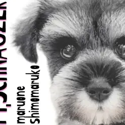 【 ミニチュアシュナウザー 】優しいルックスと賢さが魅力の暮らしを彩る相棒犬！