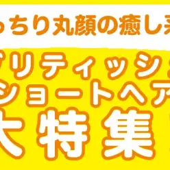 【 ブリティッシュショートヘア特集 】10/16現在在店中の丸顔癒し系にゃんこ!