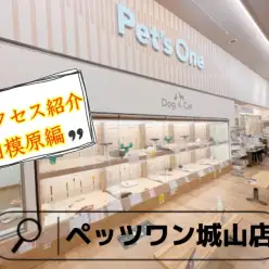 【 ペッツワン城山店 】アクセス紹介！相模原編
