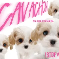 【 MIX 】半端ない可愛さ！整ったお顔とエアリー感満載のキャバション登場！