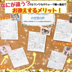 【 何が違う?ここが違う! 】ワカバウォーク鶴ヶ島店でお迎えするメリット