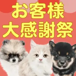 【 お客様大感謝祭 】マルワンサンタからクリスマスプレゼント企画スタート！