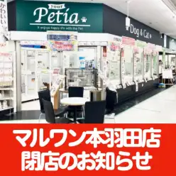 【 重要なお知らせ 】マルワン本羽田店閉店のご案内