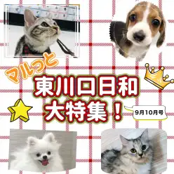 【 マルっと東川口日和特集！ 】9月10月に公開されたマルっとブログを一挙紹介！