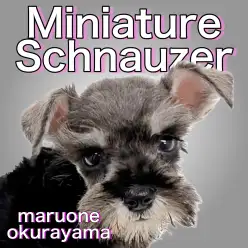 【シュナウザー】誰もが羨む理想的なボディバランスのペッパーガール！