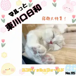 【 マルッと東川口日和No.115 】スコちゃんの成長を寝顔と共に振り返ろう！