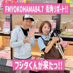 【 大感謝祭特別企画 】FM横浜・街角リポートに出演！フジタくんが来たっ！