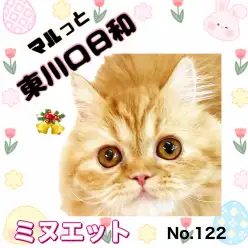 【 マルっと東川口日和No.122 】広々デビュー！ミヌちゃんが新ステージで魅力爆発