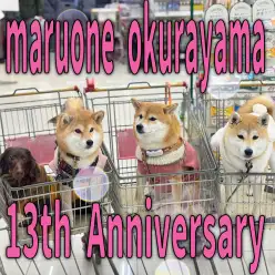 【 周年祭 】総勢38頭がお祝いに駆けつけてくれた大倉山店13歳の誕生日！