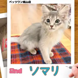 【 ソマリ 】城山っ子成長報告!2026年1月19日