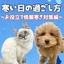 【 お役立て情報 】寒い日もこれで乗り越えられる！東川口店流の寒さ対策をご紹介！