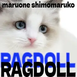 【 ラグドール 】青い瞳に優しい顔立ち！愛らしく癒し系な子猫との出会いをご提供！