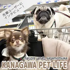 【 マルワン神奈川ペットライフ 】ユーザーが語る！多頭飼いの本音と楽しさについて