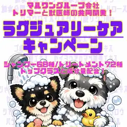 【 トリミングサロン 】期間限定ラグジュアリーケアキャンペーン!【 横浜元町店 】