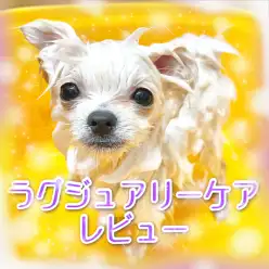 【 トリミング 】今日から皮膚育！！ラグジュアリーケアのトリマーレビュー！