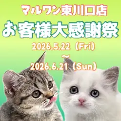 【 お客様大感謝祭 】東川口店に在店中のネコちゃん達をご紹介！