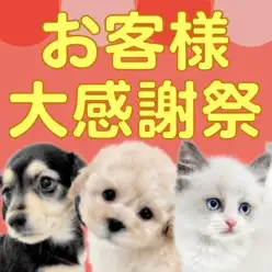 【 お客様大感謝祭 】ペットを迎える絶好のチャンス到来!マルワンからプレゼント企画!