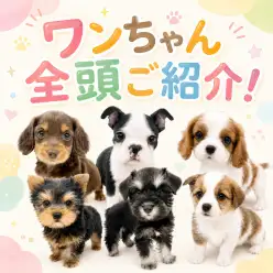 【 お知らせ 】お客様大感謝祭開催!マルワン板橋志村坂下店のワンちゃんをご紹介!