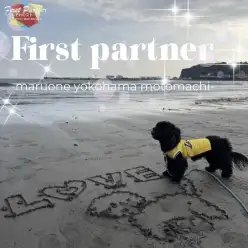 【 ファーストパートナー 】マルワン横浜元町店藤田の愛犬物語!