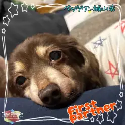 【 ファーストパートナー 】ペッツワン城山店スタッフ山本の愛犬物語!