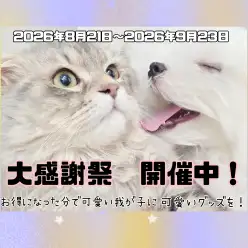 【 お知らせ 】お客様大感謝祭開催中！高井戸店のワンちゃんをご紹介！