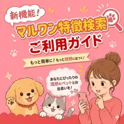 【 お知らせ 】子犬・子猫探しをもっと楽しく！新機能『マルワン特徴検索』が登場！
