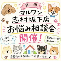 【 お悩み相談会 】第一回マルワン志村坂下店！お迎え後の相談会を開催しました！