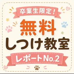【 卒業生限定無料しつけ教室 】卒業生だけが受けられる特別レッスン！第二弾