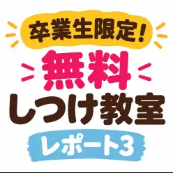 【 卒業生限定無料しつけ教室 】卒業生だけが受けられる特別レッスン!第三弾