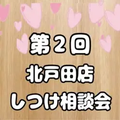 【 第2回目しつけ相談会レポート 】生後6ヶ月限定以内!子犬のしつけ相談会開催!