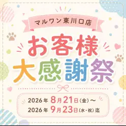 【 お客様大感謝祭 】マルワン東川口店に在店中のネコちゃん達をご紹介！