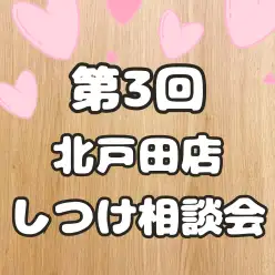 【 第3回しつけ相談会レポート 】埼玉県戸田市で開催!マルワン卒業生限定イベント
