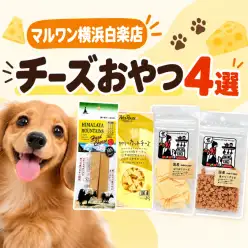 【 商品紹介 】愛犬を虜にするチーズおやつ4選!その魅力とは?