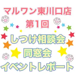 【 しつけ相談会 】埼玉県川口市のペットショップで第一回同窓会を開催しました！