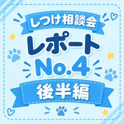 【 卒業生限定無料しつけ教室 】卒業生限定無料の特別レッスン!第4弾後半