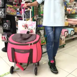 大倉山店発:押しても引いてもOKな万能ペットカートレビュー!